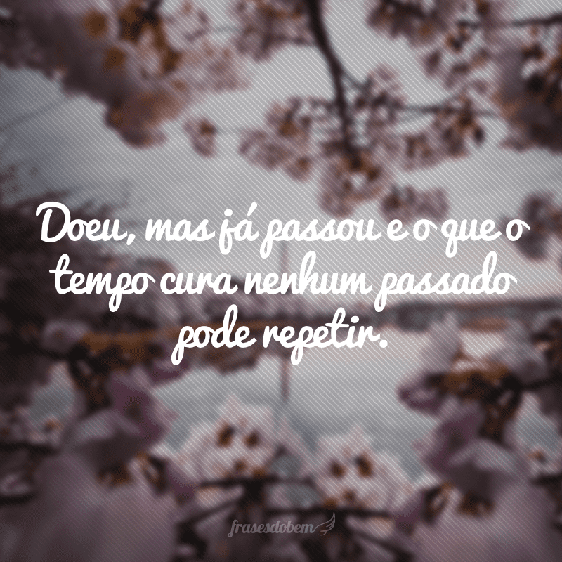 💋FRASE DO DIA💋 Levanta, sacode a poeira e dá a volta por cima