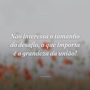 Não interessa o tamanho do desafio, o que importa é a grandeza da união!