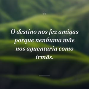 O destino nos fez amigas porque nenhuma mãe nos aguentaria como irmãs.