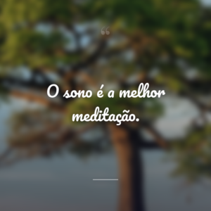 O sono é a melhor meditação.