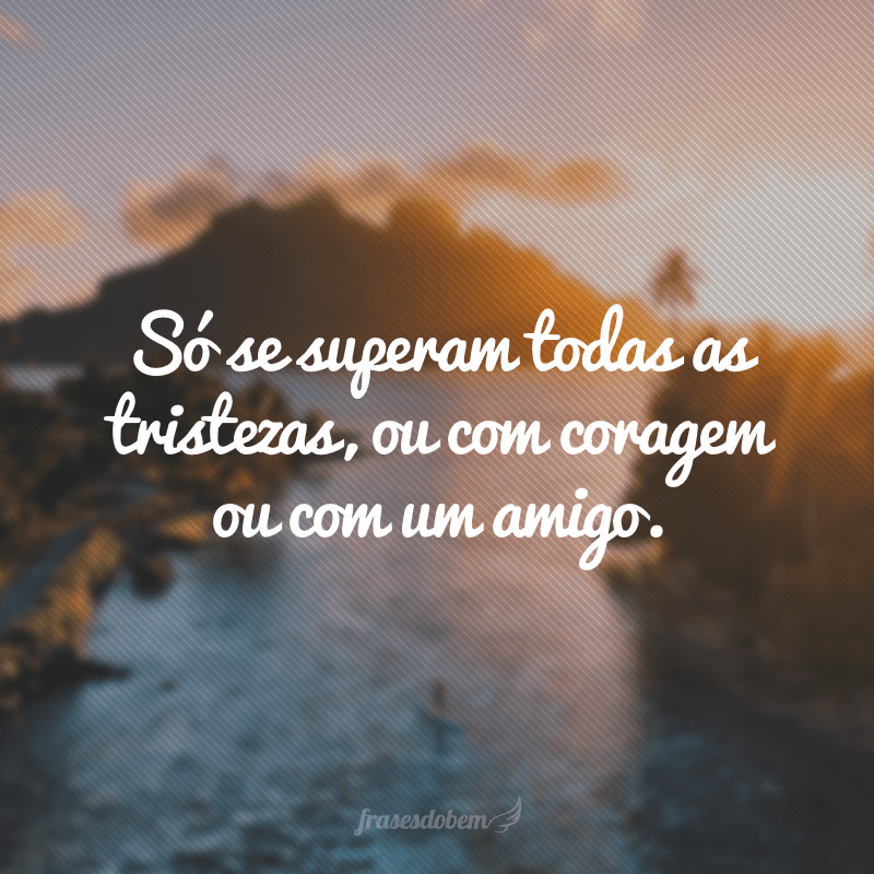 Só se superam todas as tristezas, ou com coragem ou com um amigo.