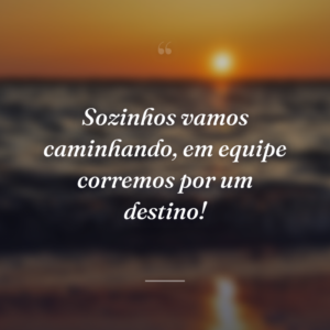 Sozinhos vamos caminhando, em equipe corremos por um destino!