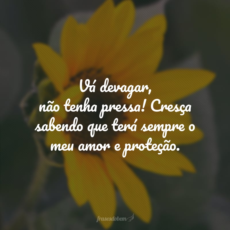 Vá devagar, não tenha pressa! Cresça sabendo que terá sempre o meu amor e proteção.