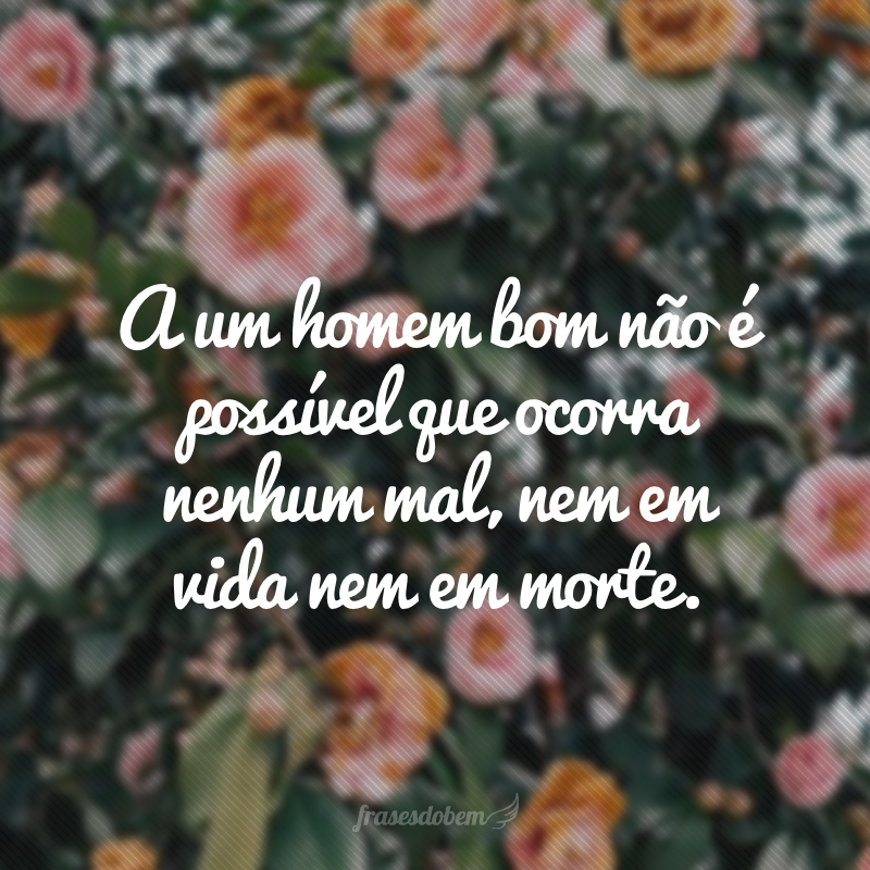 A um homem bom não é possível que ocorra nenhum mal, nem em vida nem em morte.