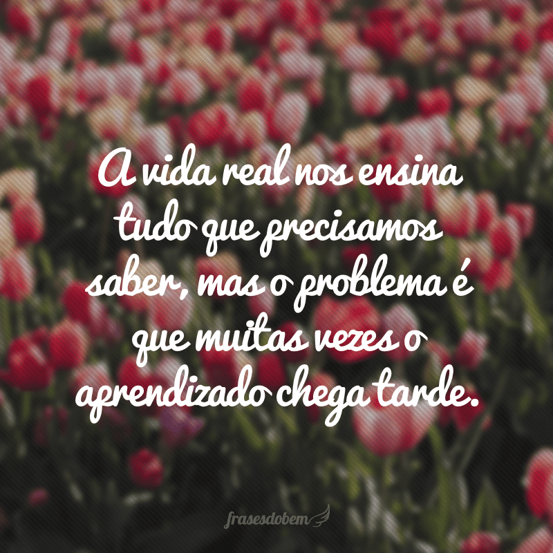 A vida real nos ensina tudo que precisamos saber, mas o problema é que muitas vezes o aprendizado chega tarde.