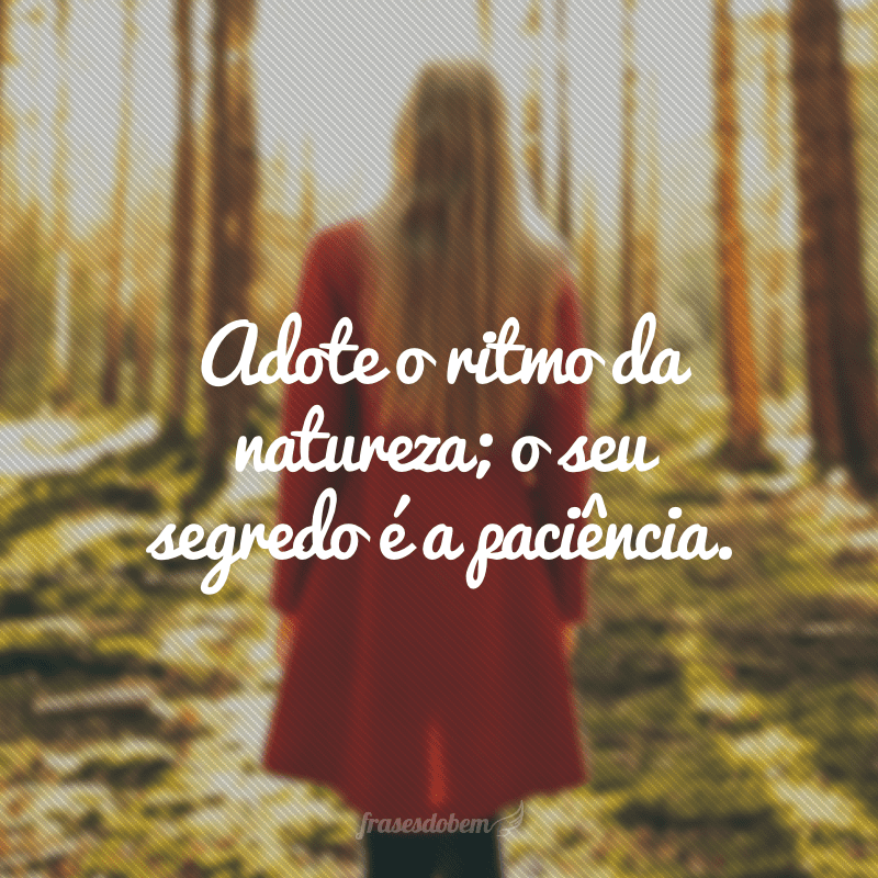 Adote o ritmo da natureza; o seu segredo é a paciência.