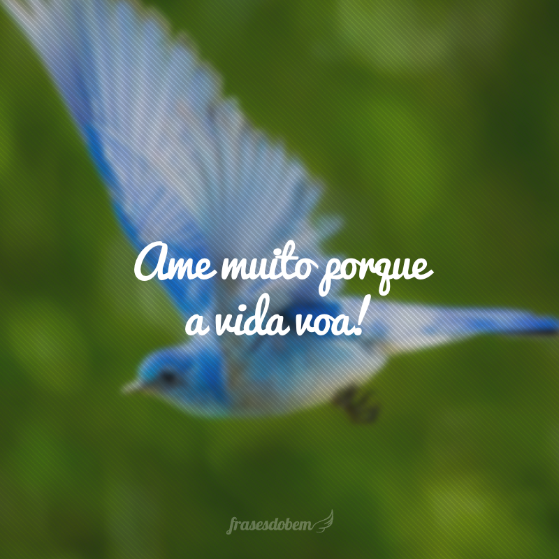 Ame muito porque a vida voa!