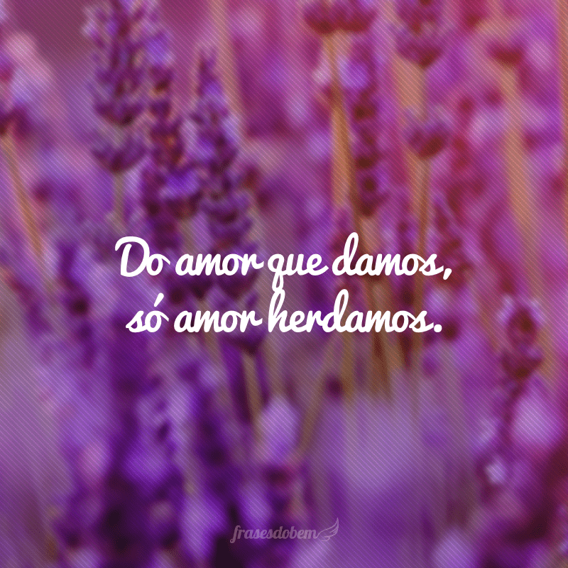 Do amor que damos, só amor herdamos.