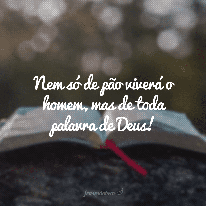 Nem só de pão viverá o homem, mas de toda palavra de Deus!