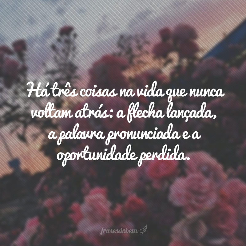 Há três coisas na vida que nunca voltam atrás: a flecha lançada, a palavra pronunciada e a oportunidade perdida.