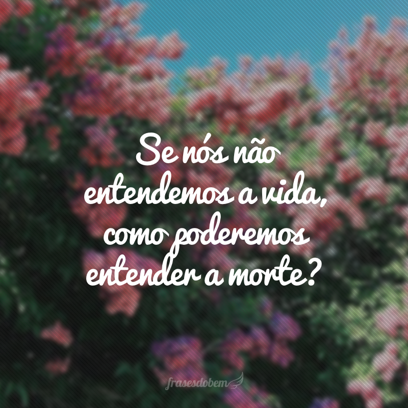 Se nós não entendemos a vida, como poderemos entender a morte?