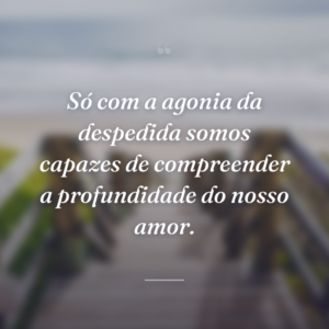 Só com a agonia da despedida somos capazes de compreender a profundidade do nosso amor.