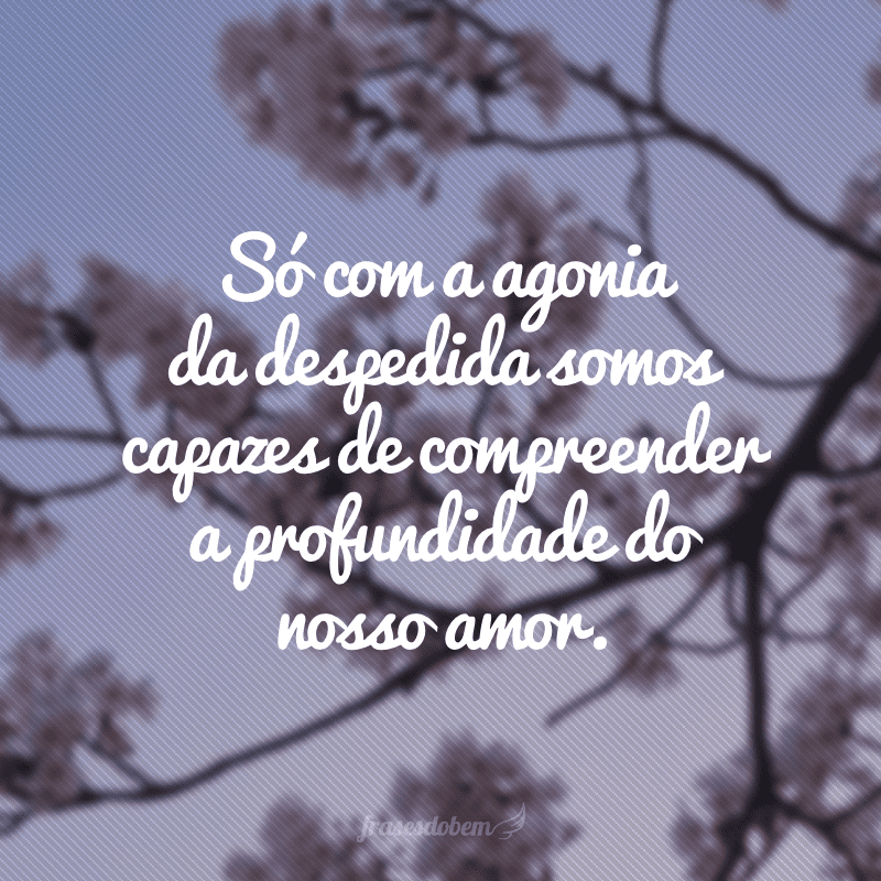 Só com a agonia da despedida somos capazes de compreender a profundidade do nosso amor.