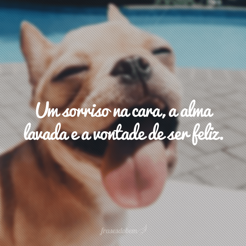 Um sorriso na cara, a alma lavada e a vontade de ser feliz.