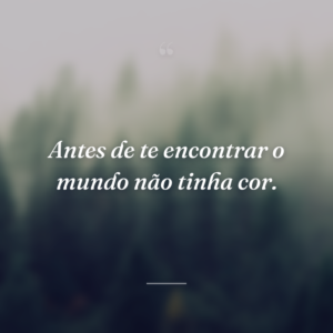 Antes de te encontrar o mundo não tinha cor.