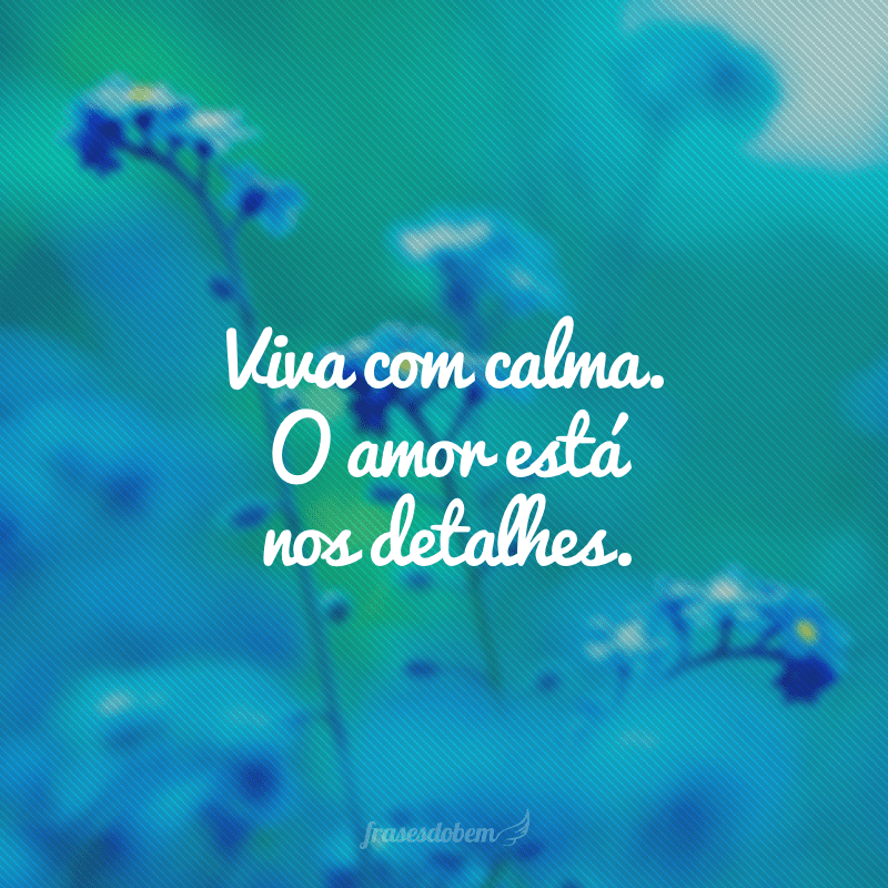 Viva com calma. O amor está nos detalhes.