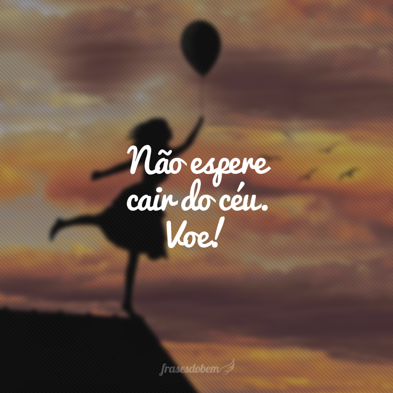 Não espere cair do céu. Voe!