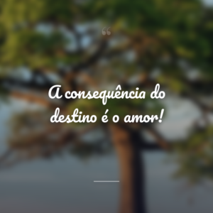A consequência do destino é o amor!