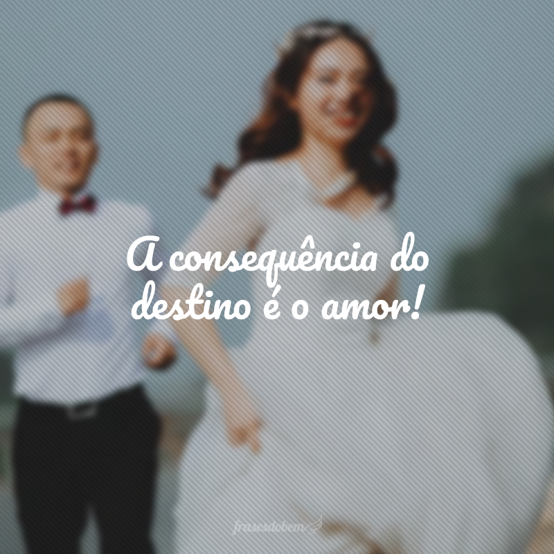 A consequência do destino é o amor! 