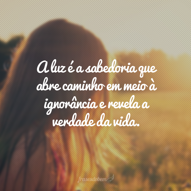 A luz é a sabedoria que abre caminho em meio à ignorância e revela a verdade da vida.