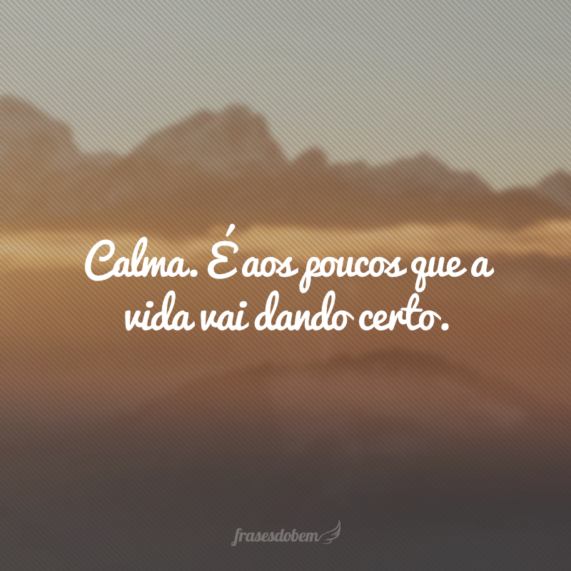 Calma. É aos poucos que a vida vai dando certo.