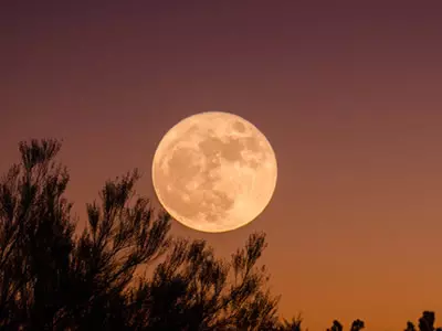 60 frases sobre a lua que vão te ajudar a admirá-la ainda mais