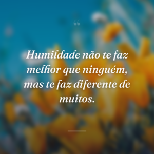 Humildade não te faz melhor que ninguém, mas te faz diferente de muitos.