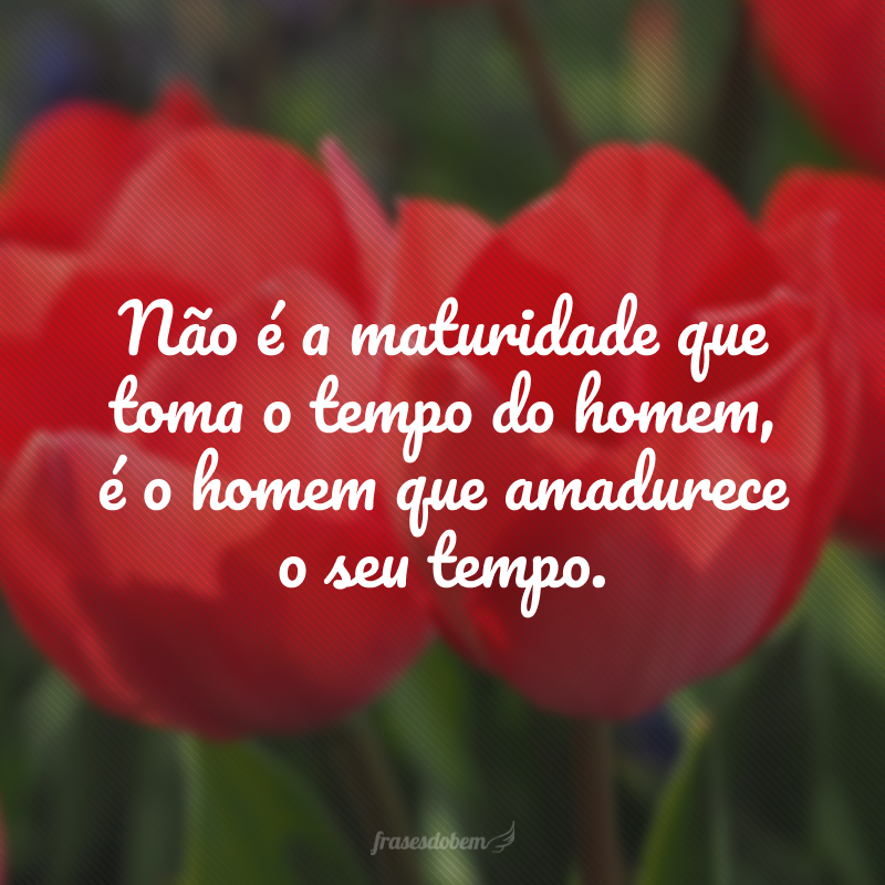 Não é a maturidade que toma o tempo do homem, é o homem que amadurece o seu tempo.