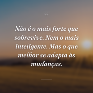 Não é o mais forte que sobrevive. Nem o mais inteligente. Mas o que melhor se adapta às mudanças.