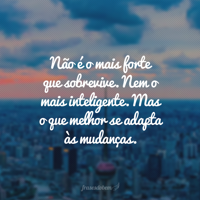 Não é o mais forte que sobrevive. Nem o mais inteligente. Mas o que melhor se adapta às mudanças.