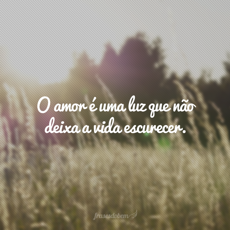 O amor é uma luz que não deixa a vida escurecer.