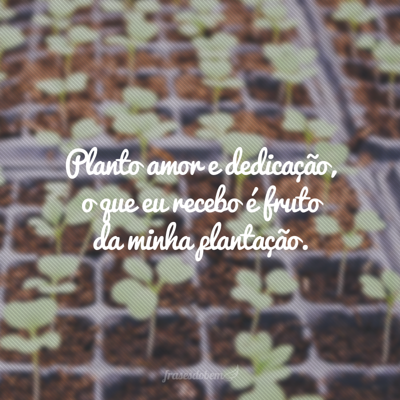 Planto amor e dedicação, o que eu recebo é fruto da minha plantação.