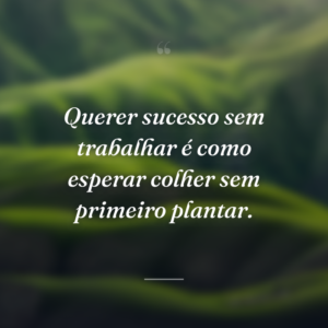 Querer sucesso sem trabalhar é como esperar colher sem primeiro plantar.
