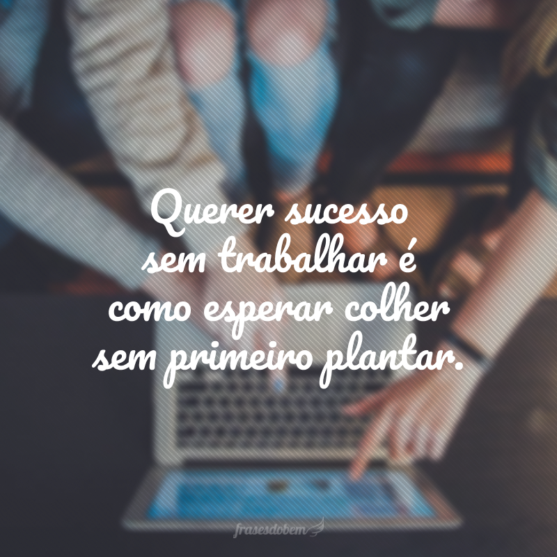 Querer sucesso sem trabalhar é como esperar colher sem primeiro plantar.