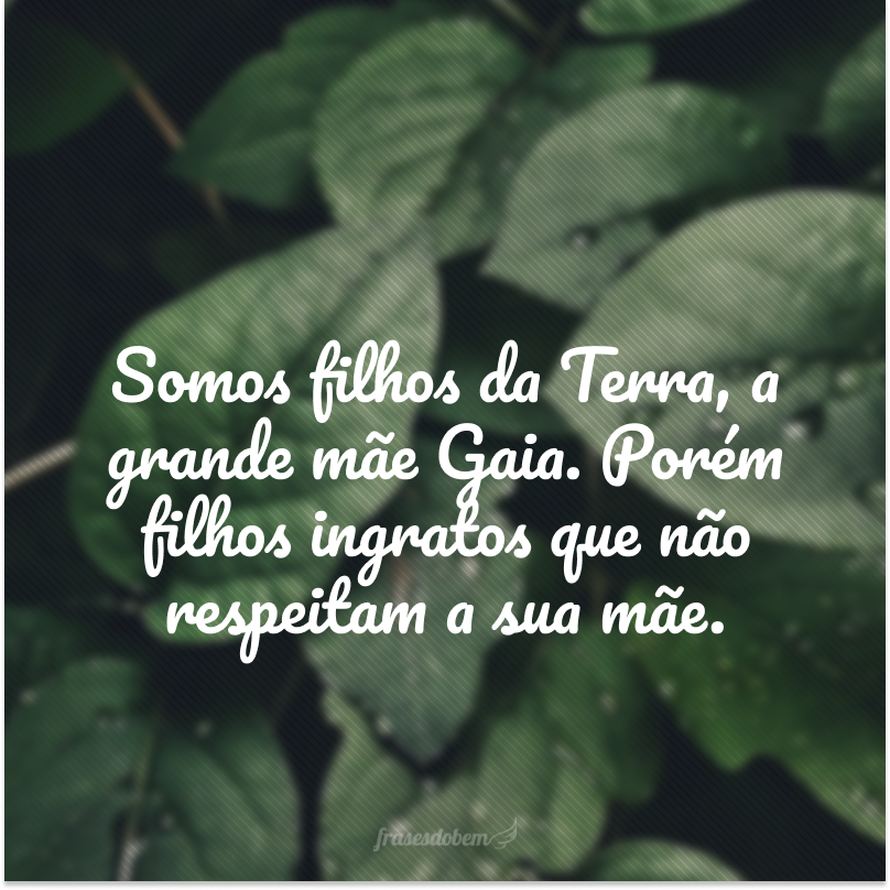 Somos filhos da Terra, a grande mãe Gaia. Porém filhos ingratos que não respeitam a sua mãe.