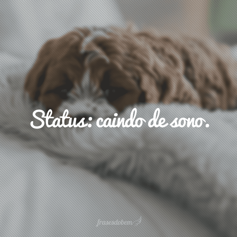 Status: caindo de sono.