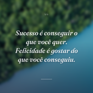 Sucesso é conseguir o que você quer. Felicidade é gostar do que você conseguiu.
