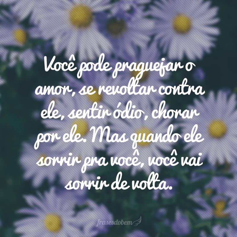 Você pode praguejar o amor, se revoltar contra ele, sentir ódio, chorar por ele. Mas quando ele sorrir pra você, você vai sorrir de volta.