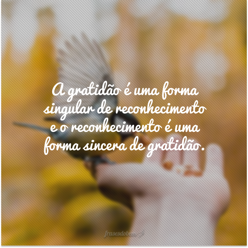 A gratidão é uma forma singular de reconhecimento e o reconhecimento é uma forma sincera de gratidão.