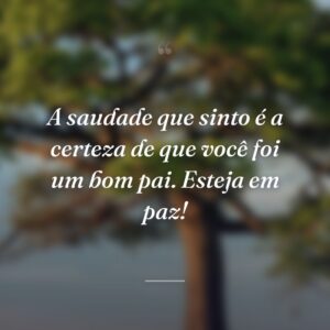 A saudade que sinto é a certeza de que você foi um bom pai. Esteja em paz!