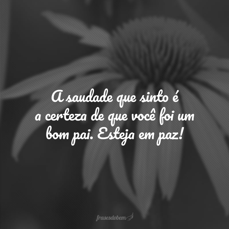 A saudade que sinto é a certeza de que você foi um bom pai. Esteja em paz!