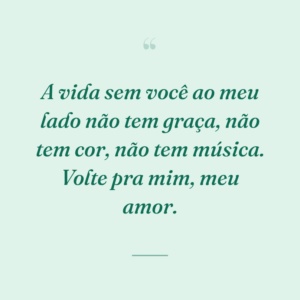 A vida sem você ao meu lado não tem graça, não tem cor, não tem música. Volte pra mim, meu amor.
