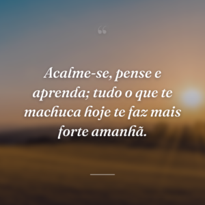 Acalme-se, pense e aprenda; tudo o que te machuca hoje te faz mais forte amanhã.