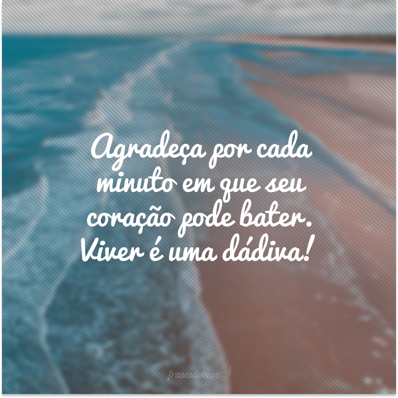 Frases Sobre Agradecimento