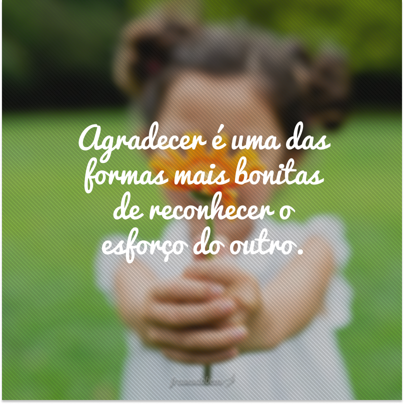 Agradecer é uma das formas mais bonitas de reconhecer o esforço do outro.