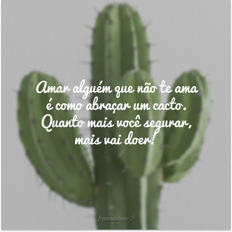 Amar alguém que não te ama é como abraçar um cacto. Quanto mais você segurar, mais vai doer!