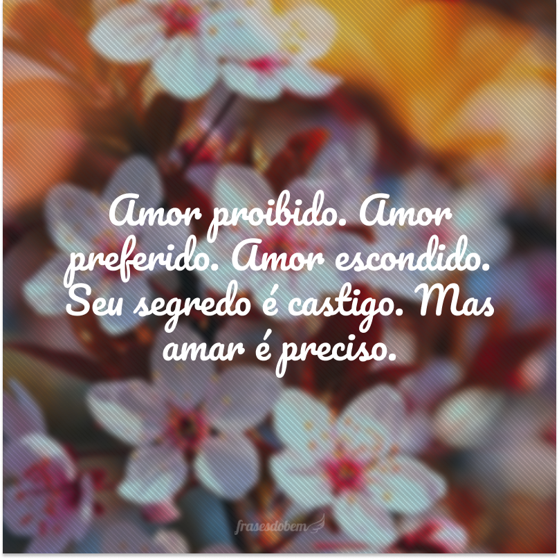 Amor proibido. Amor preferido. Amor escondido. Seu segredo é castigo. Mas amar é preciso.