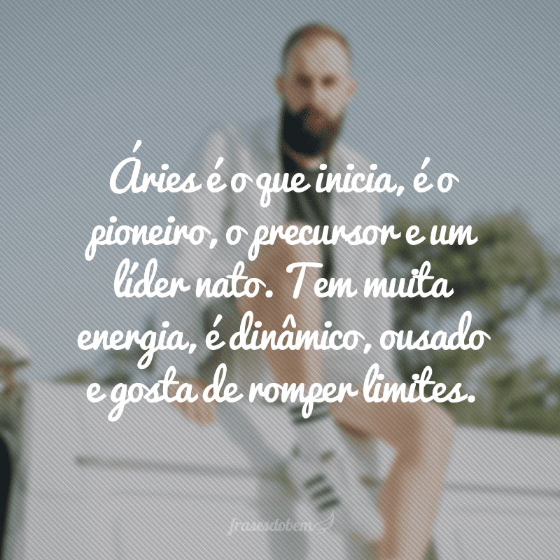 Áries é o que inicia, é o pioneiro, o precursor e um líder nato. Tem muita energia, é dinâmico, ousado e gosta de romper limites.