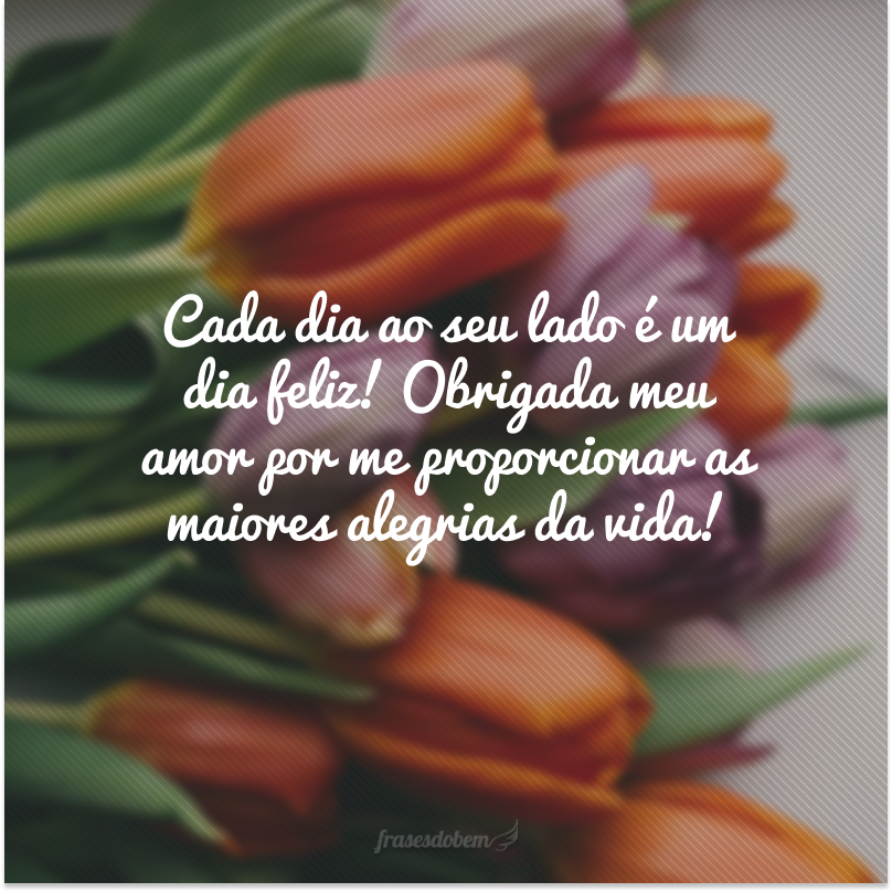 Cada dia ao seu lado é um dia feliz! Obrigada meu amor por me proporcionar as maiores alegrias da vida!