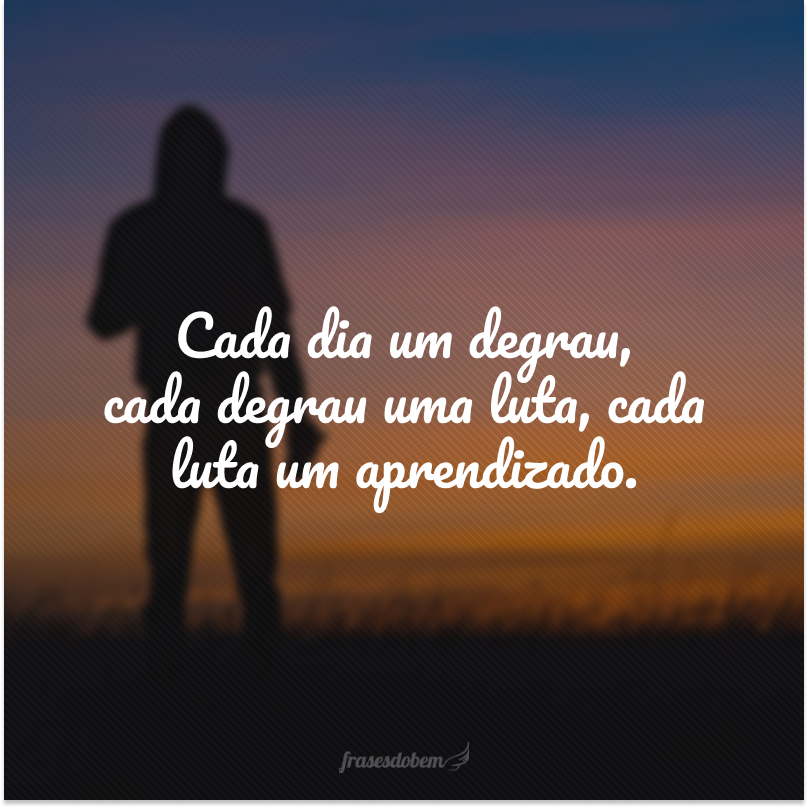 Cada dia um degrau, cada degrau uma luta, cada luta um aprendizado.